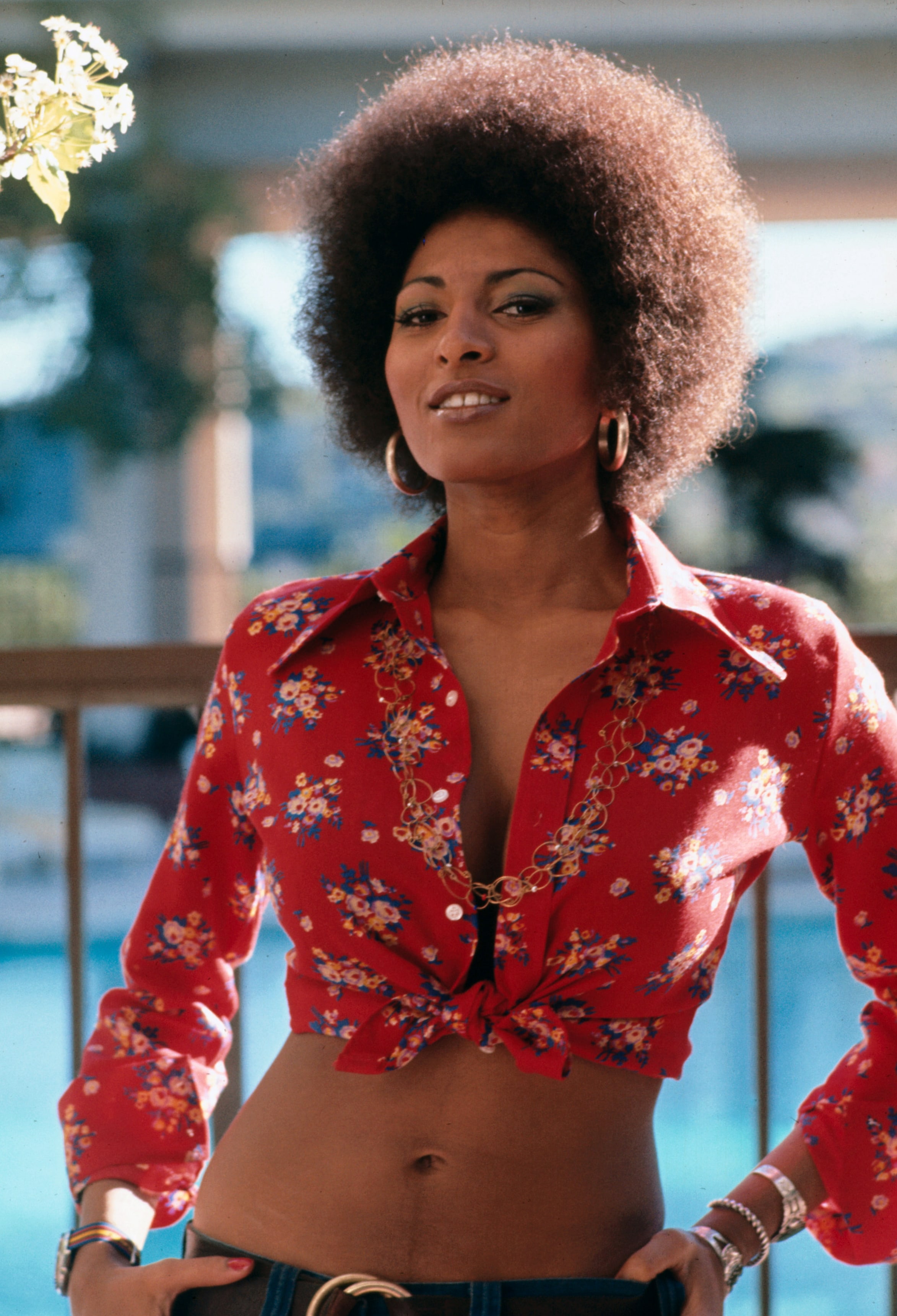 Pam Grier Bio Pam Grier Bio